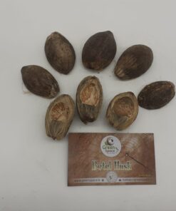 Betel Husk Pods