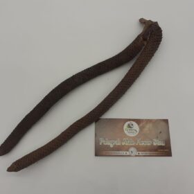 Palmyrah Male Flower Stems