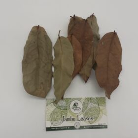 Jambu Leaves