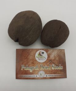 Palmyrah Seeds