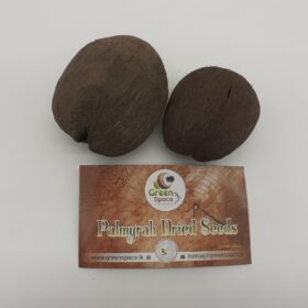 Palmyrah Seeds