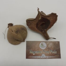 Negombo Tree Pods