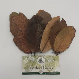 Ketakera Leaves