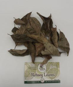 Nutmeg Leaves