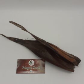 Palmyrah Male Sheath