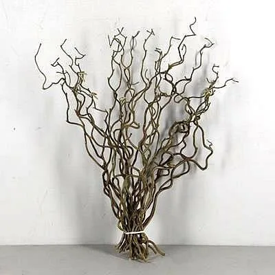 Twisted hazel on sale twigs for sale