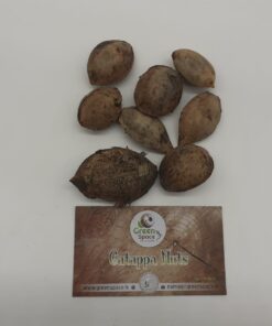 Catappa Nuts (Indian Almond)