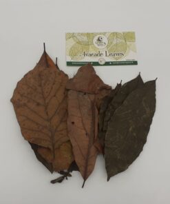 Avacado Leaves