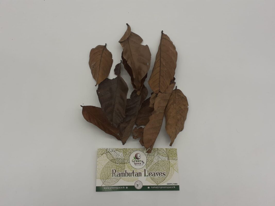 Rambutan Leaves