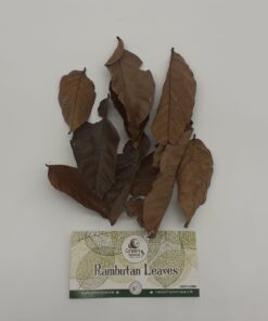 Rambutan Leaves