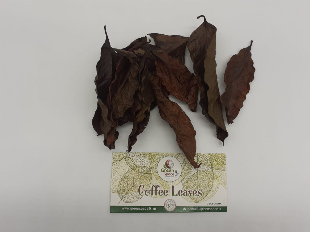 Coffee Leaves