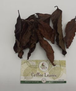 Coffee Leaves
