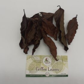 Coffee Leaves