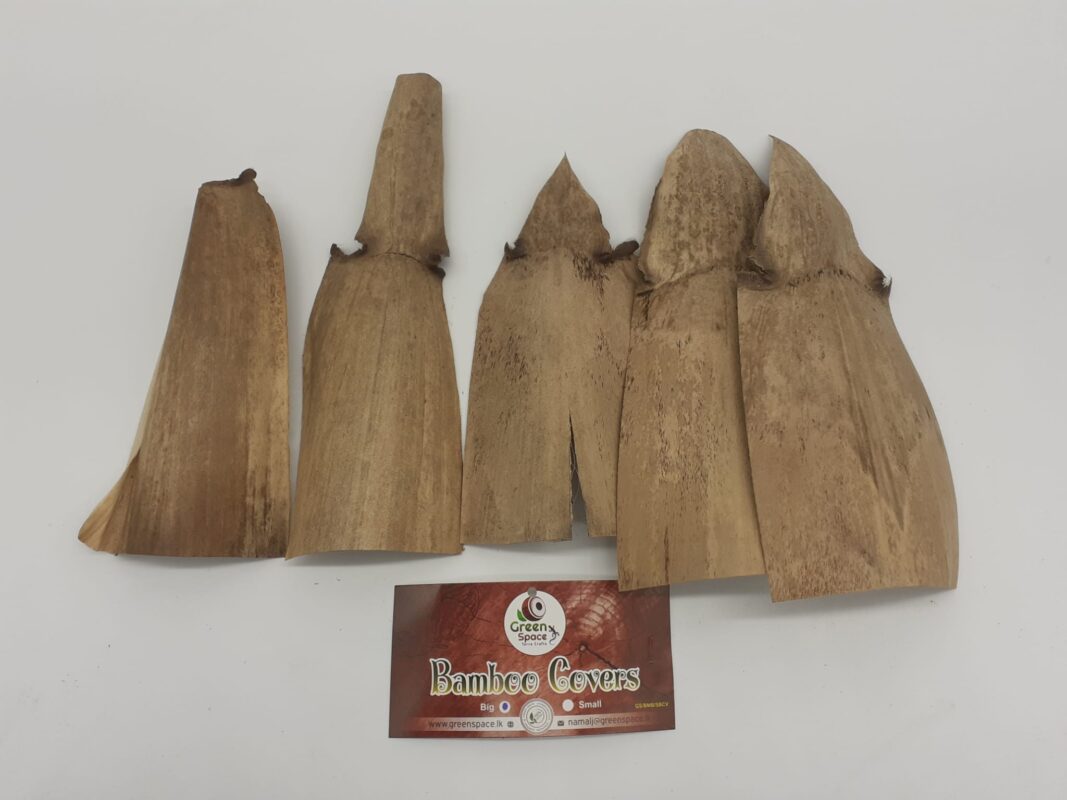 Bamboo Cover - Large