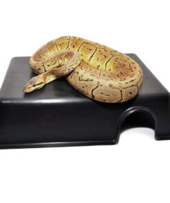 Habistat Plastic Hide