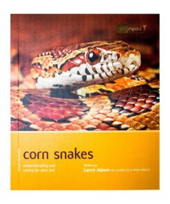 Pet Expert Corn Snake