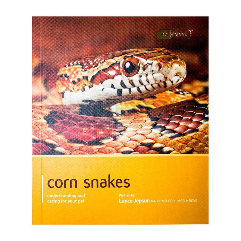 Pet Expert Corn Snake