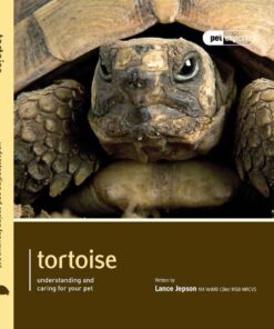 Pet Expert Tortoise
