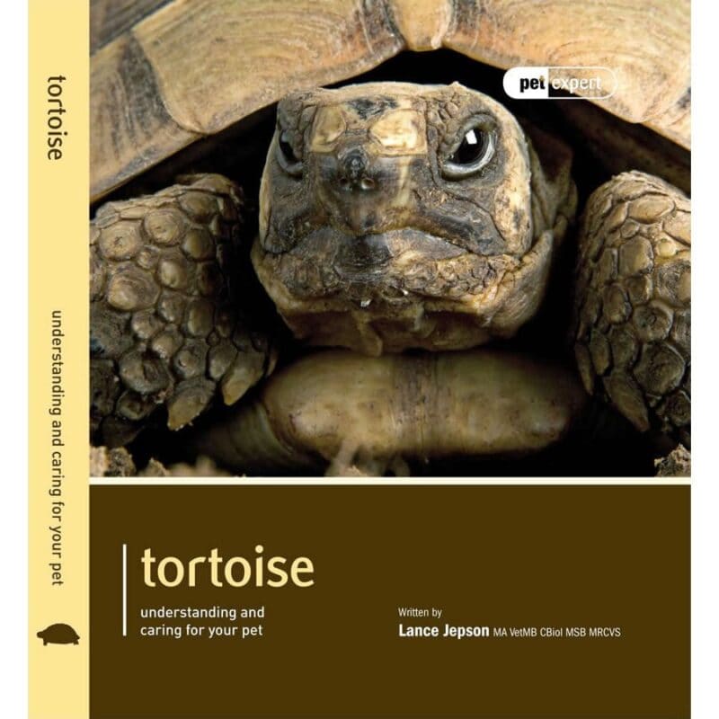 Pet Expert Tortoise