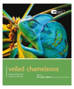Veiled Chameleons