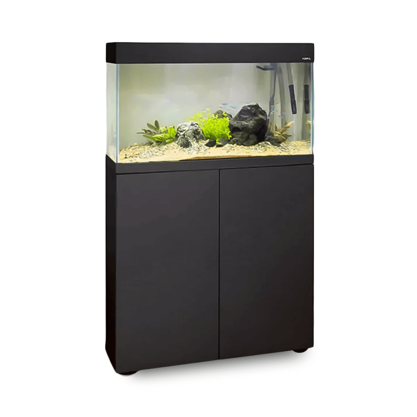 https://buzzardreptile.co.uk/wp-content/uploads/2023/02/AquaEl-Opti-Set-200-Aquarium.webp