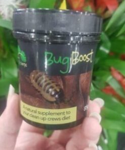 Bioactive Herps Bug Boost