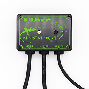 Digital Reptile Thermostat  Thermostat for Vivarium - Pangea