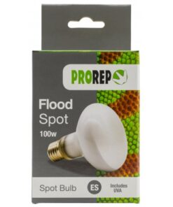 ProRep Flood Lamp