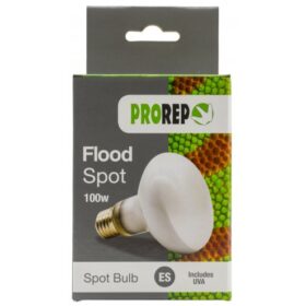 ProRep Flood Lamp