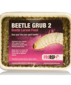 ProRep Beetle Grub (Type B)