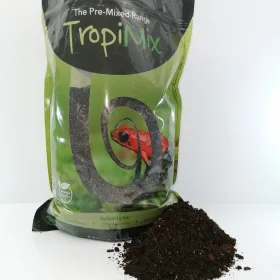 Chinese Water Dragon Tropical Forest Kit