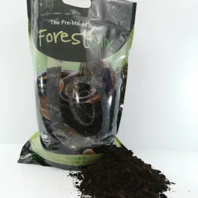 Bearded Dragon Woodland Kit