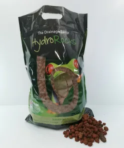 Alternative view of Chinese Water Dragon Tropical Forest Kit