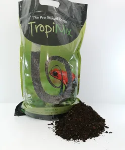 Panther Chameleon Tropical Forest Kit