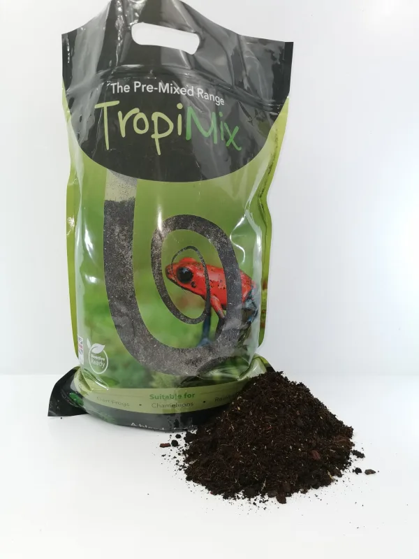 Panther Chameleon Tropical Forest Kit