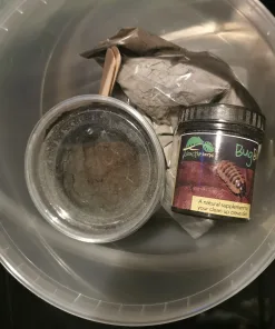 5L Springtail Culturing Kit