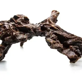 Giganterra Racine XL