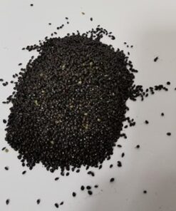 Forget Me Not Seeds 5g