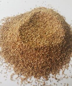 Purple Loosestrife Seeds 3g