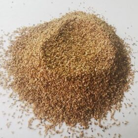 Purple Loosestrife Seeds 3g