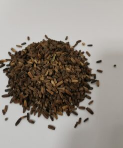 Teasel Seeds 5g