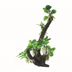 Hugo Tree Branch 20x11x33cm