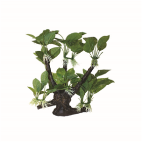 Hugo Tree Branch 33x26x37cm