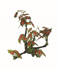 Hugo Tree Branch 36x16x58cm