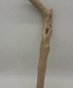Java Wood - Single Stem - Large 10