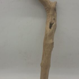 Java Wood - Single Stem - Large 10