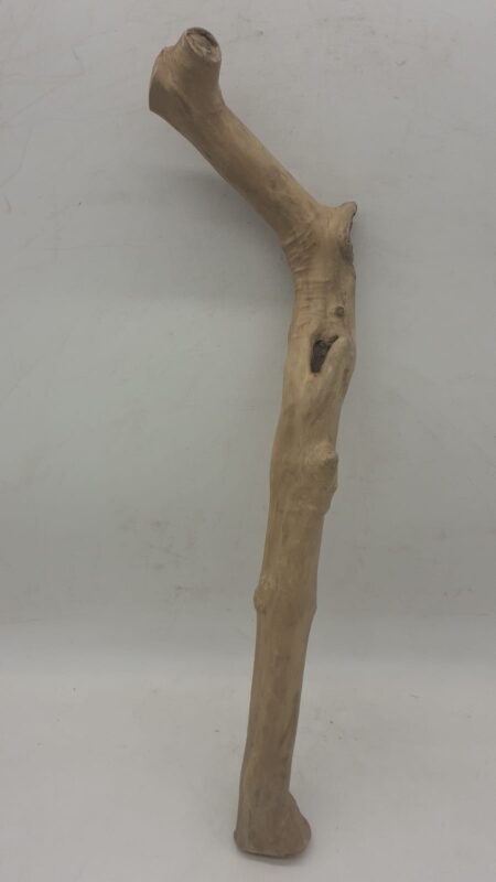 Java Wood - Single Stem - Large 10