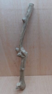 Java Wood - Single Stem - XL 2