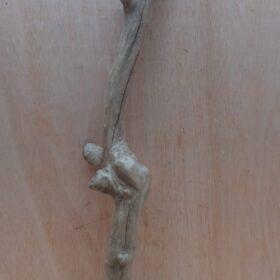 Java Wood - Single Stem - XL 2