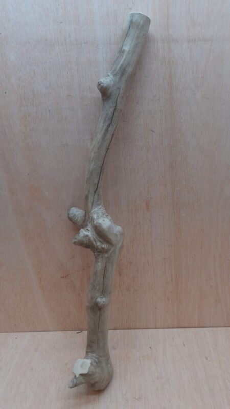 Java Wood - Single Stem - XL 2